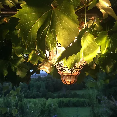 Podere Di Costabella Feriehus