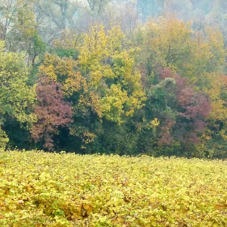 Podere Di Costabella