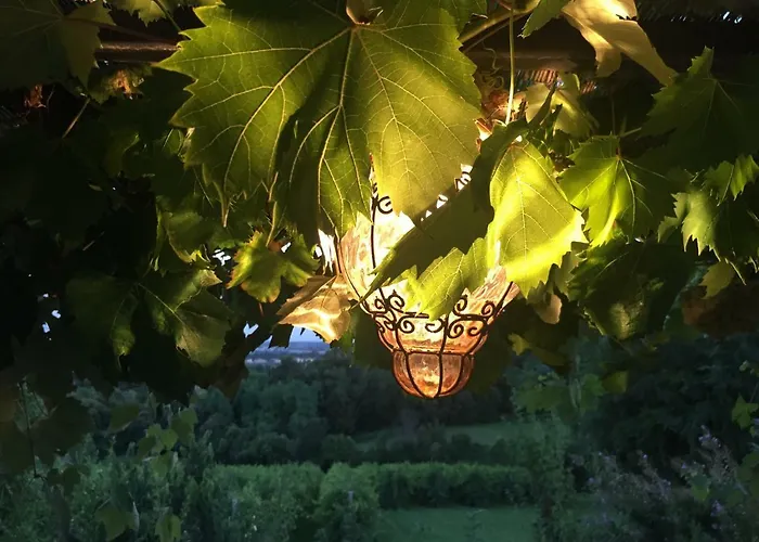 Podere Di Costabella Semesterbostad