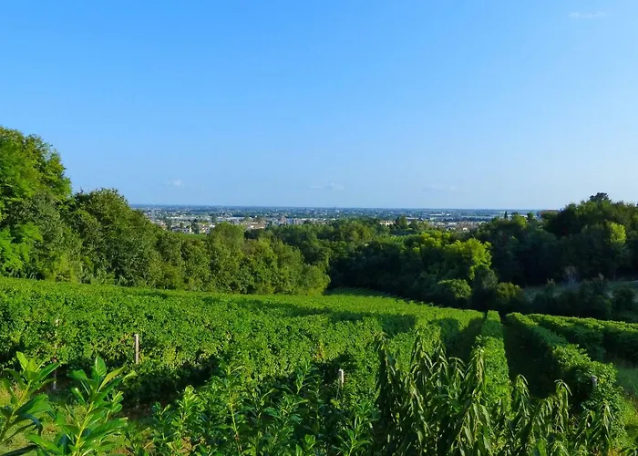 Podere Di Costabella *