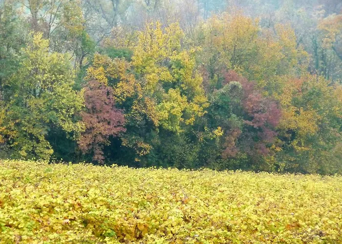 Podere Di Costabella
